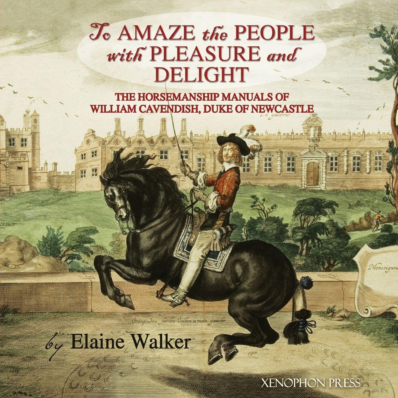 Vorderes Coverbild 'To Amaze the People with Pleasure and Delight"