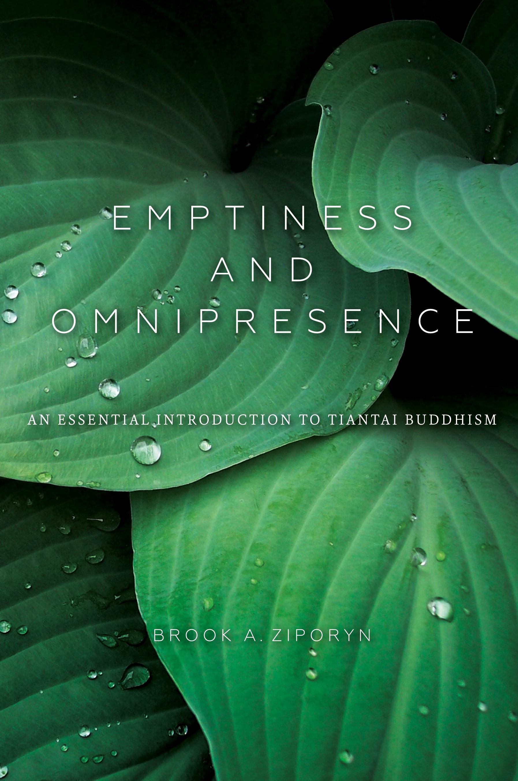 Vorderes Coverbild Emptiness and Omnipresence