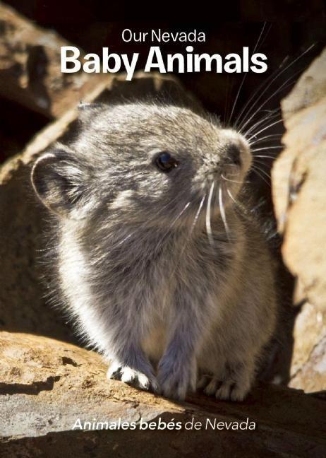Vorderes Coverbild Our Nevada: Baby Animals