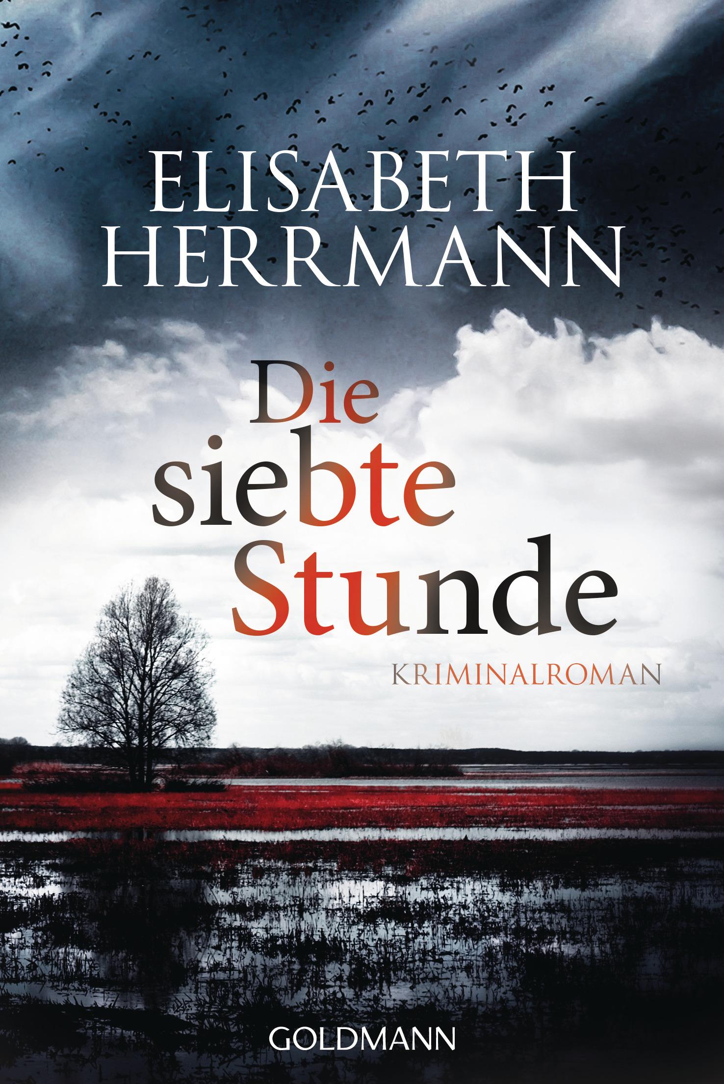 Vorderes Coverbild Die siebte Stunde