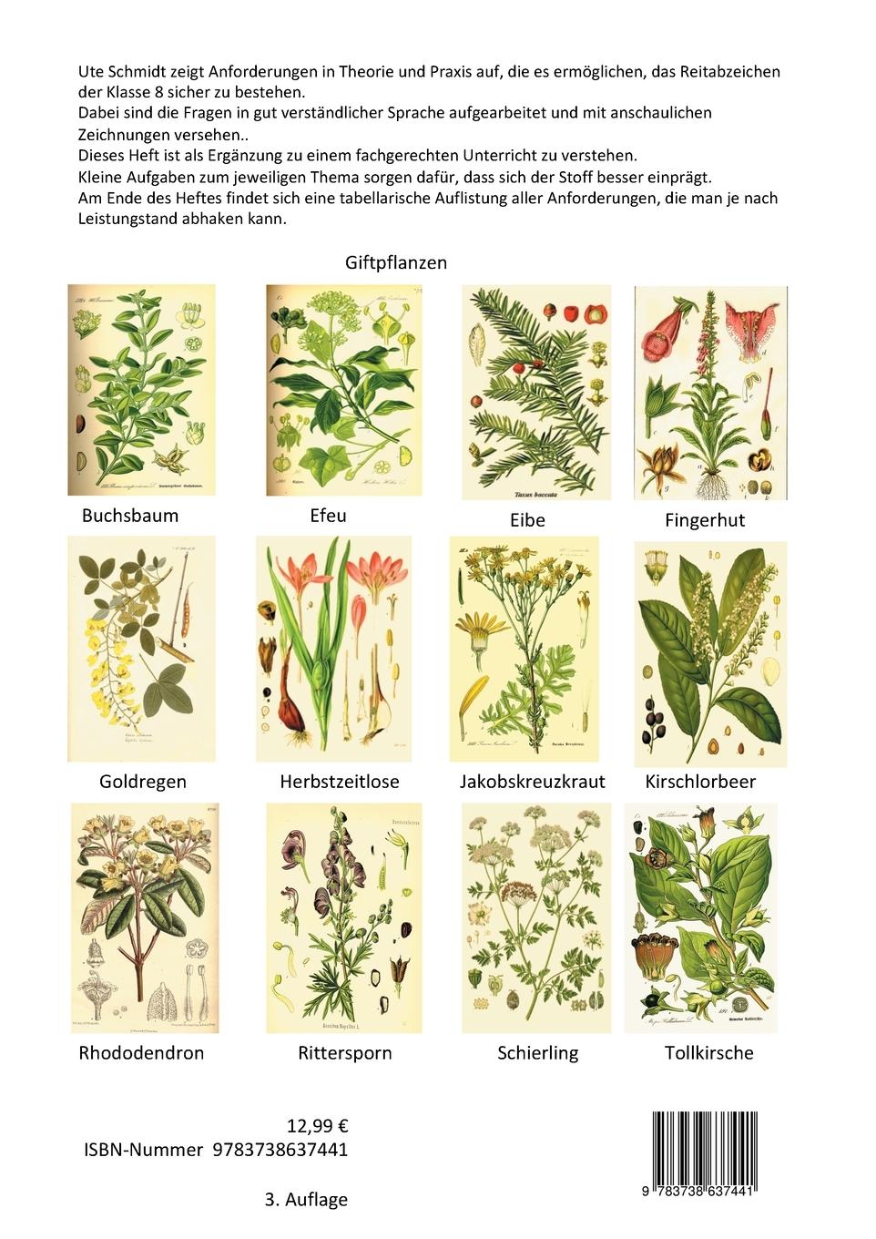 Rückseitencover Reitabzeichen 8