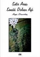 Vorderes Coverbild Satir Arasi Sandik Dolusu Ask