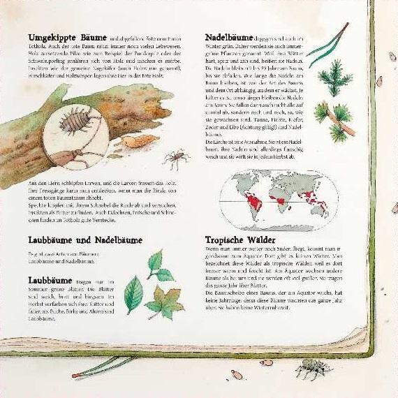 Beispielinhalt (Bild) Der Werkdachs und seine Freunde