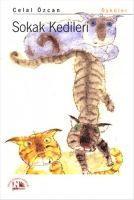Vorderes Coverbild Sokak Kedileri