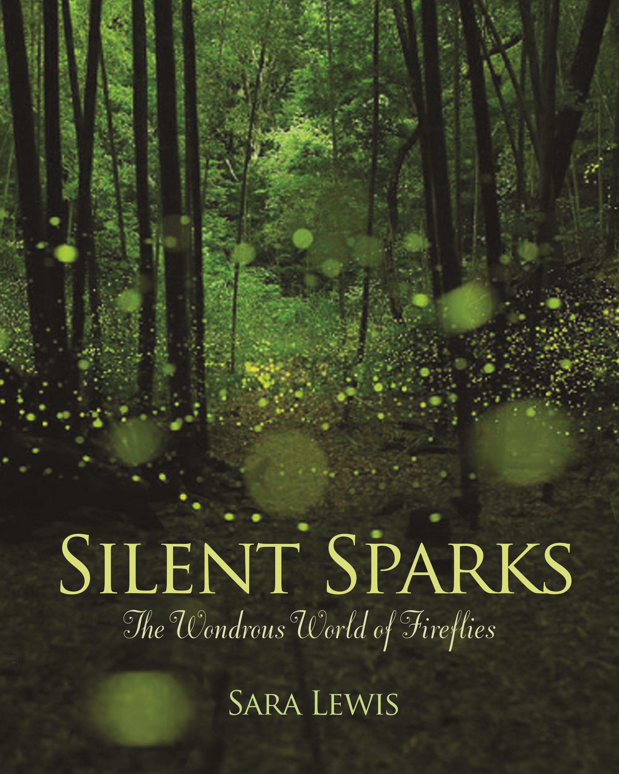 Vorderes Coverbild Silent Sparks