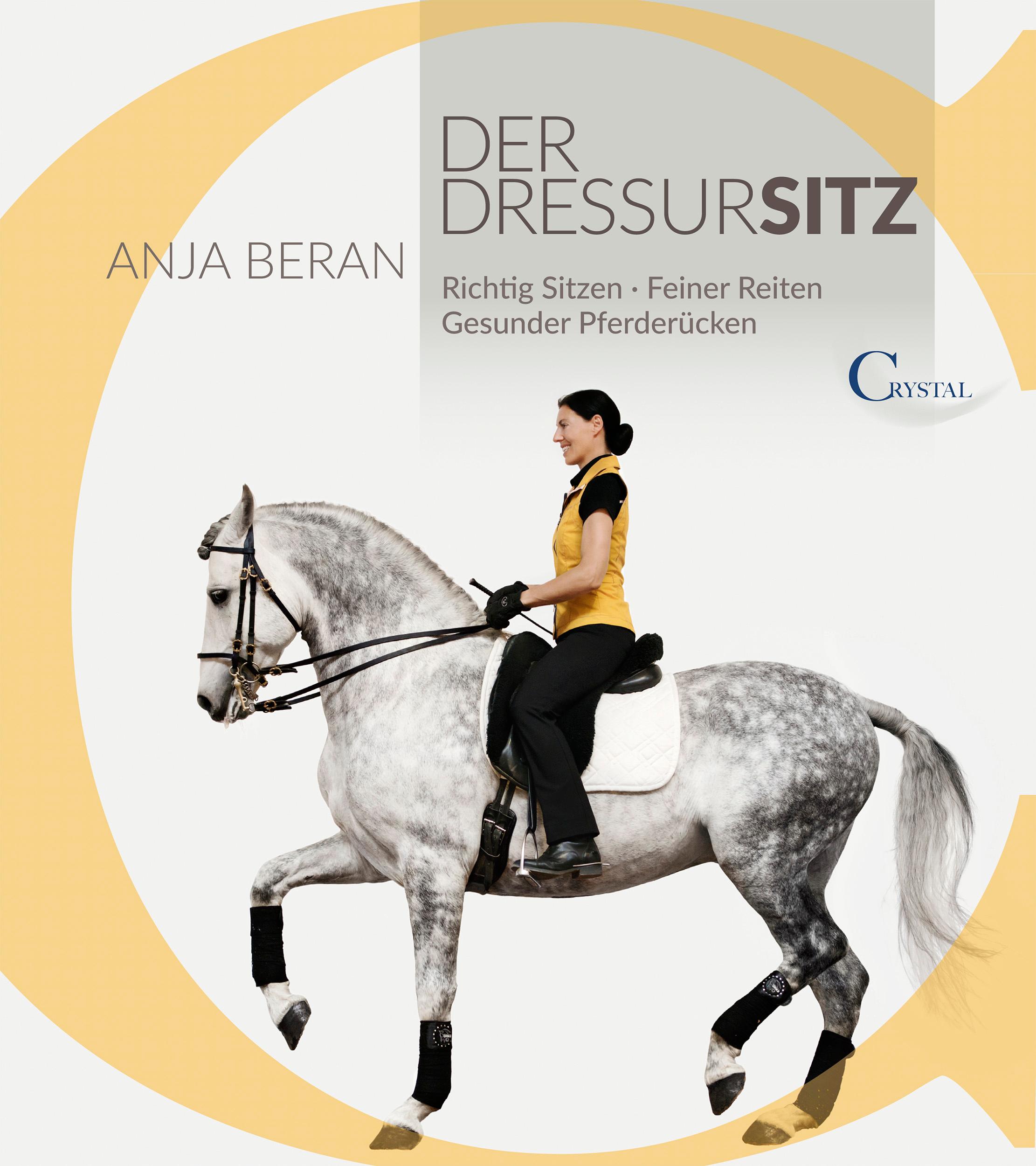 Vorderes Coverbild Der Dressursitz