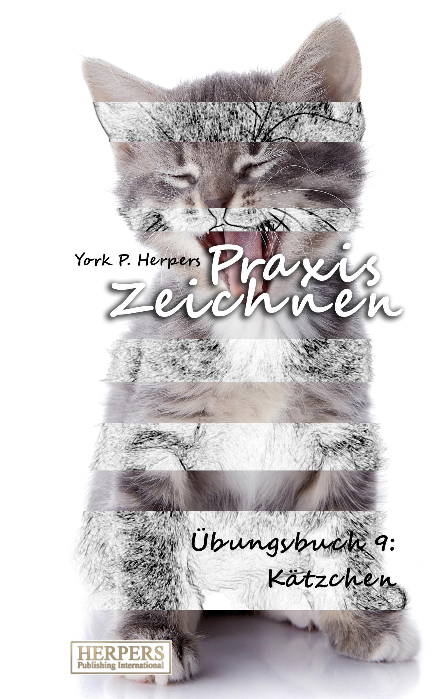 Vorderes Coverbild Praxis Zeichnen - Übungsbuch 9: Kätzchen