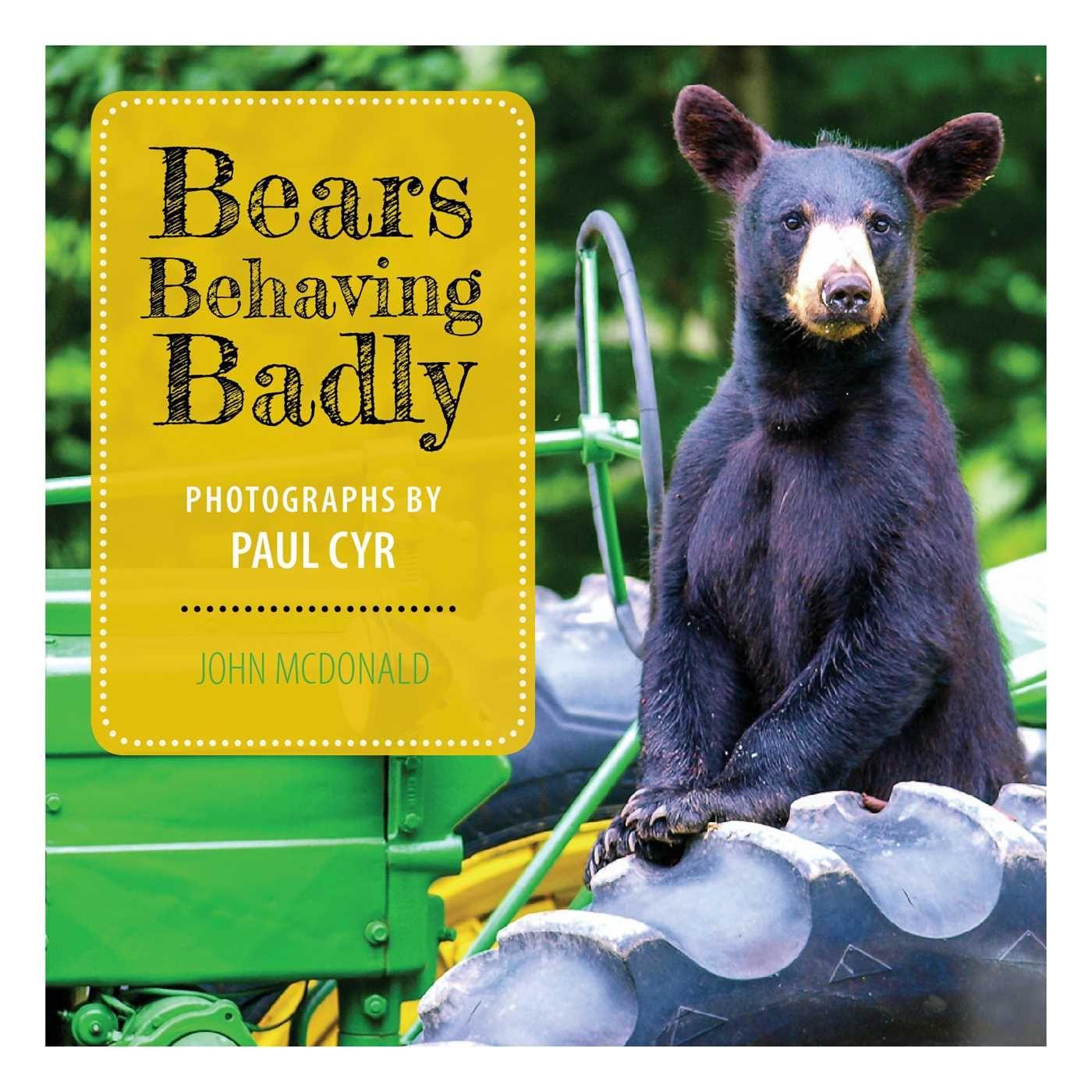 Vorderes Coverbild Bears Behaving Badly