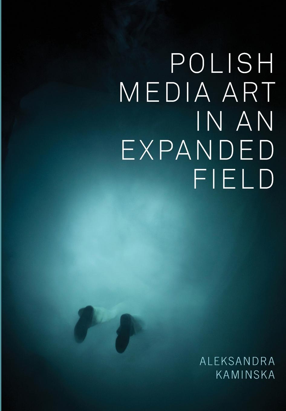 Vorderes Coverbild Polish Media Art in an Expanded Field