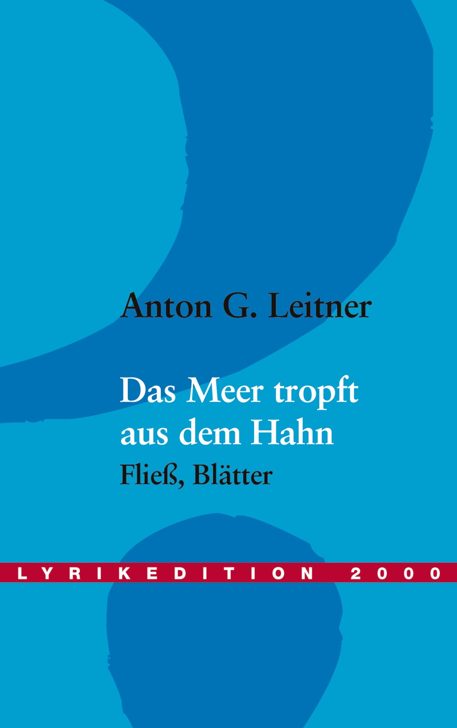 Vorderes Coverbild Das Meer tropft aus dem Hahn