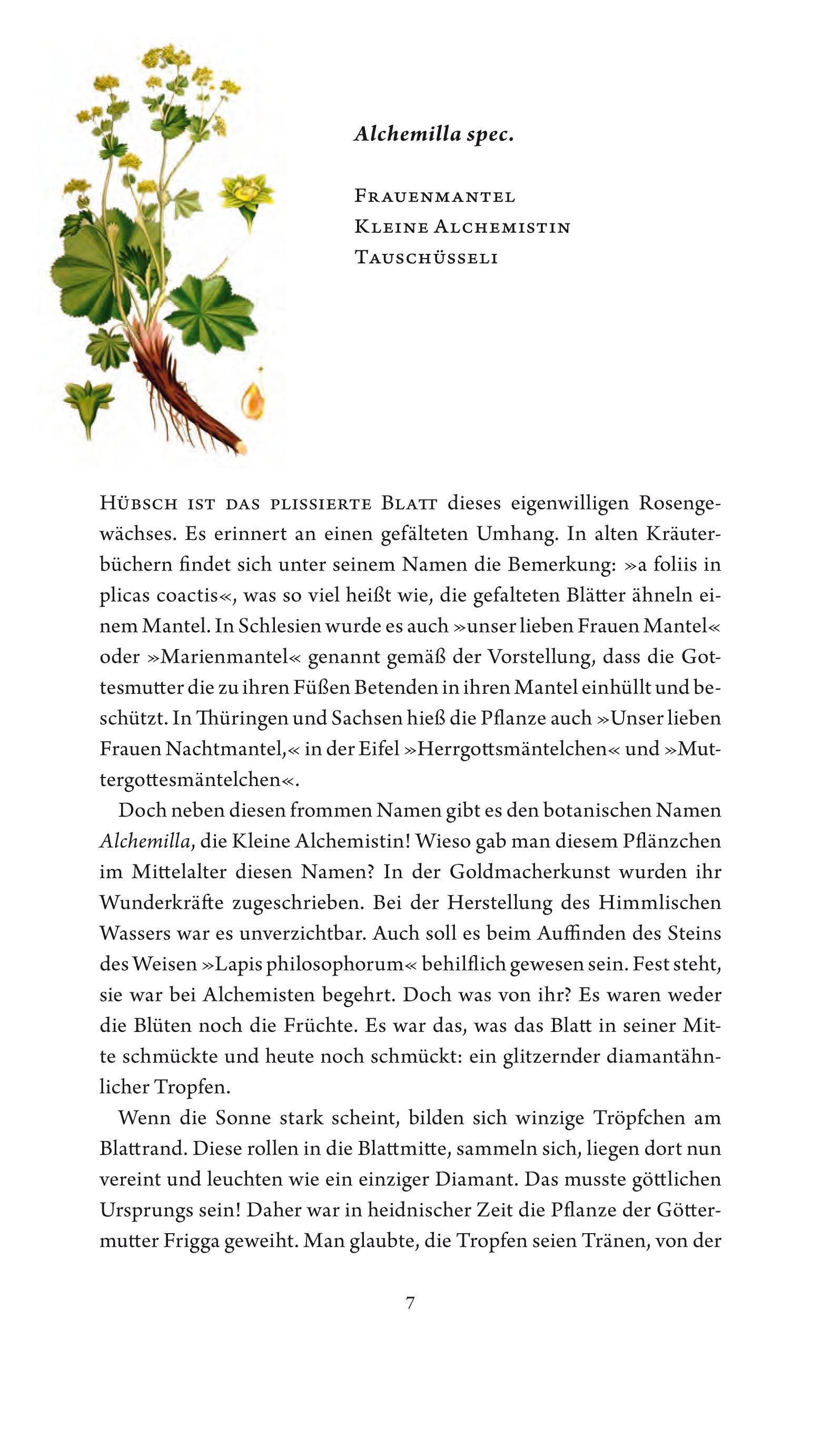 Beispielinhalt (Bild) Jungfer im Grünen und Tausendgüldenkraut