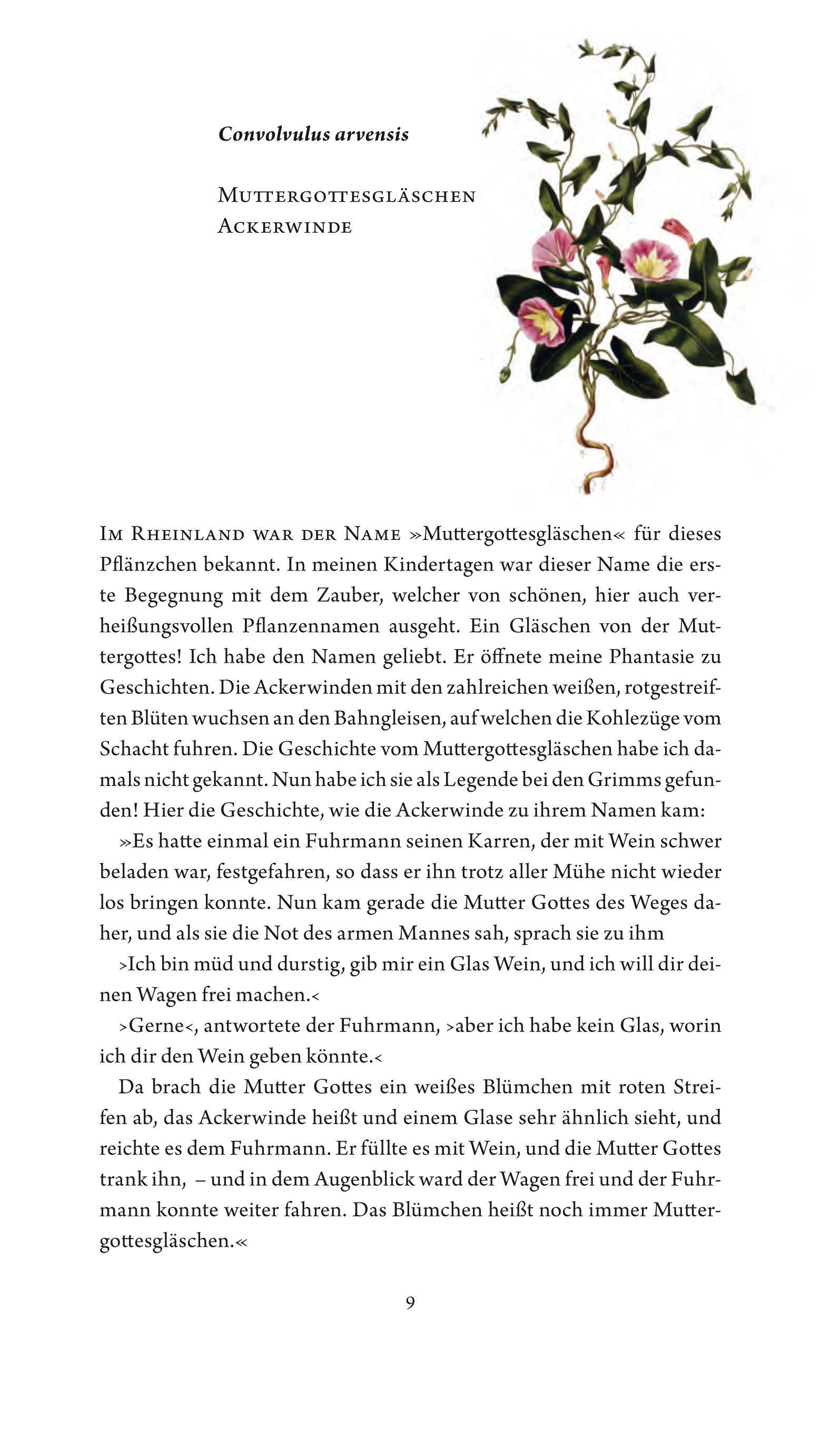 Beispielinhalt (Bild) Jungfer im Grünen und Tausendgüldenkraut
