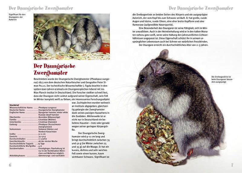 Beispielinhalt (Bild) Der Dsungarische Zwerghamster