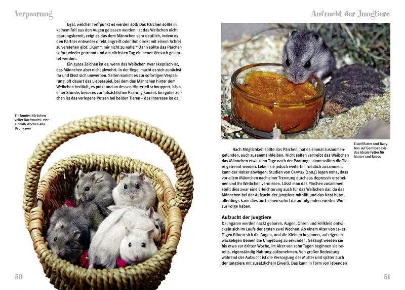 Beispielinhalt (Bild) Der Dsungarische Zwerghamster