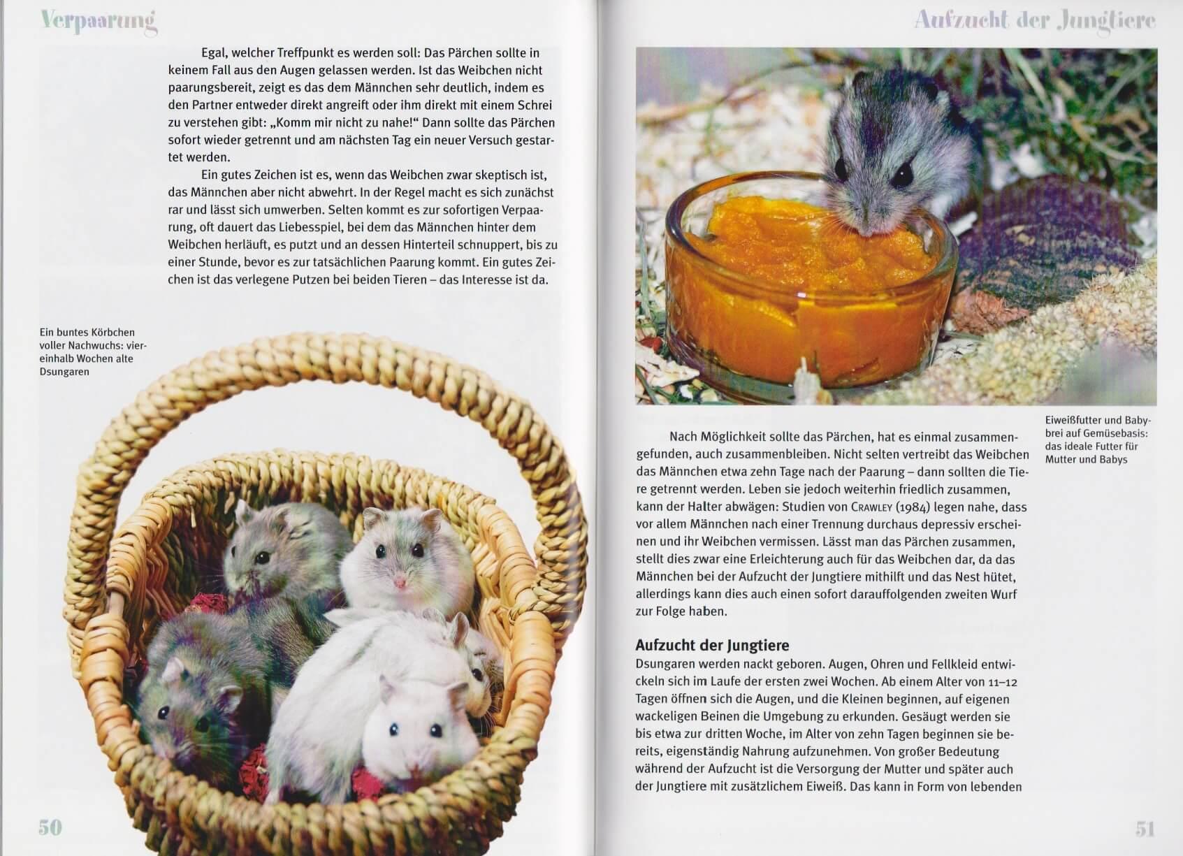 Beispielinhalt (Bild) Der Dsungarische Zwerghamster