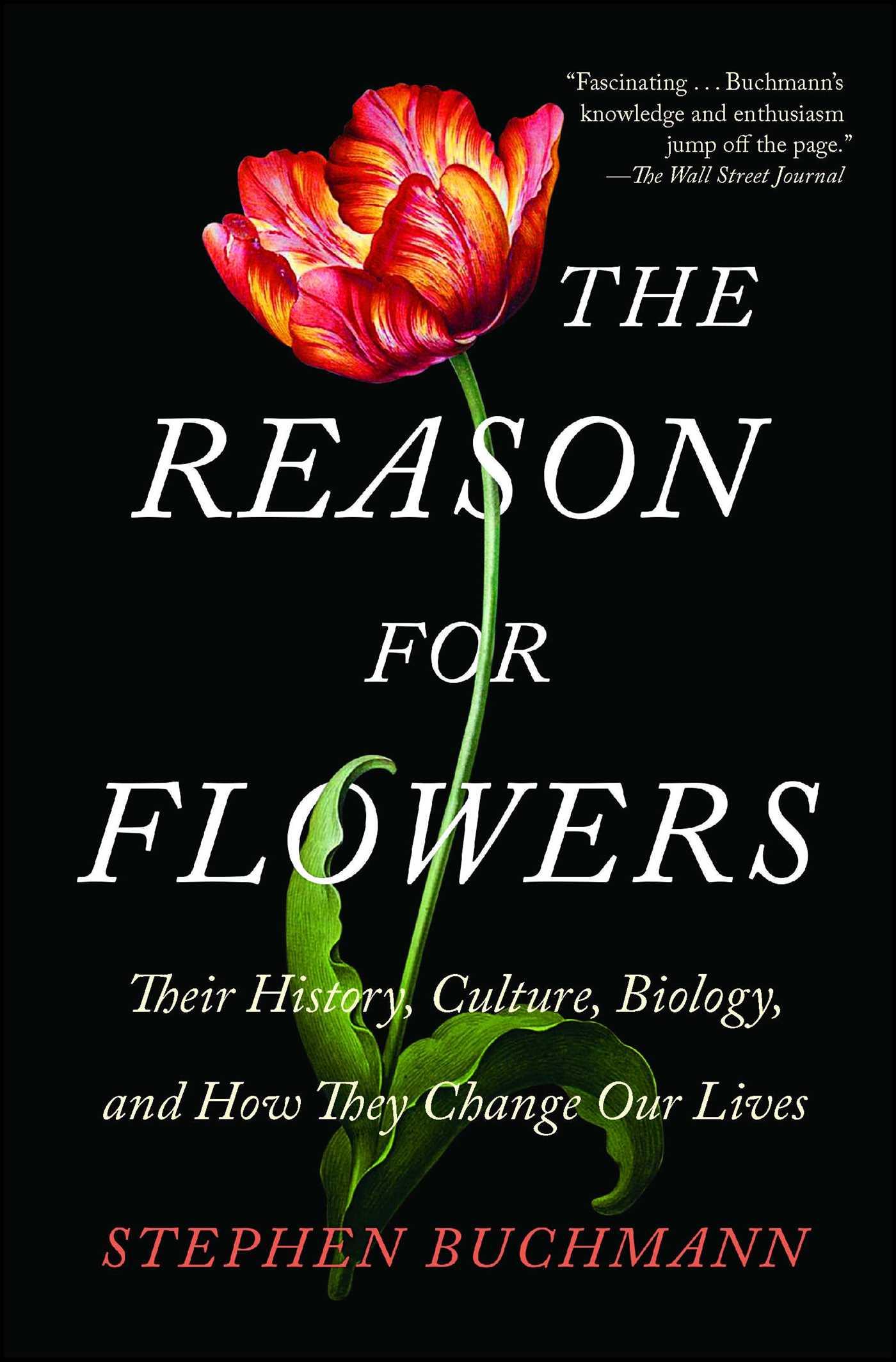 Vorderes Coverbild The Reason for Flowers