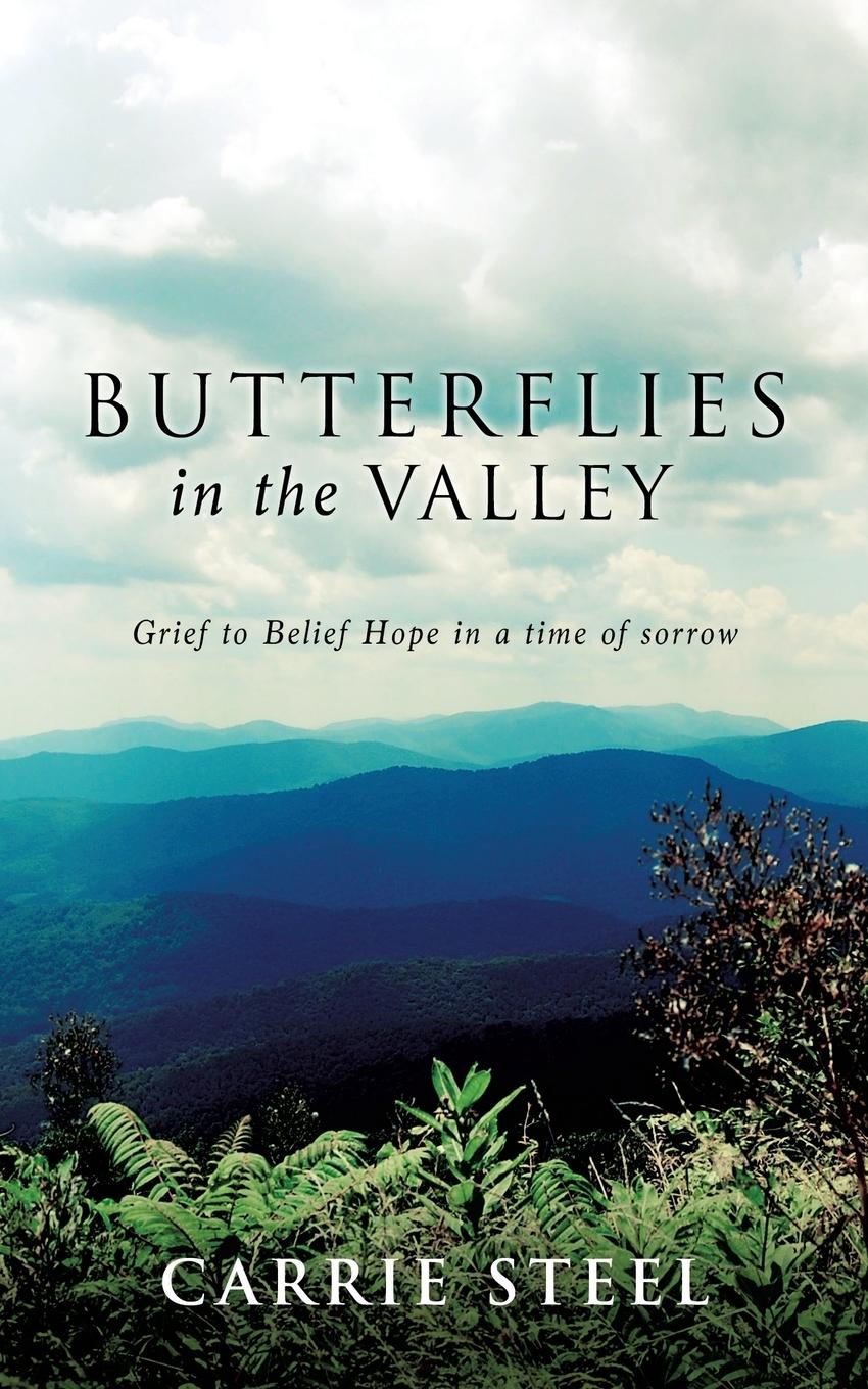 Vorderes Coverbild Butterflies In The Valley