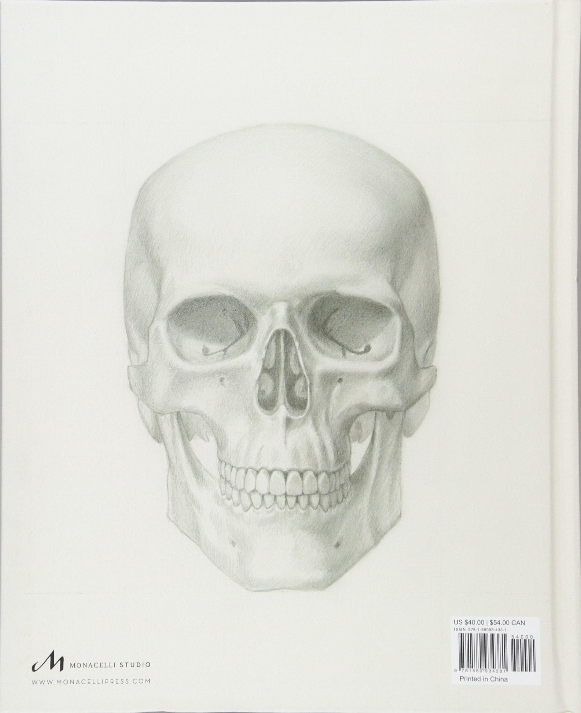 Beispielinhalt (Bild) Basic Human Anatomy