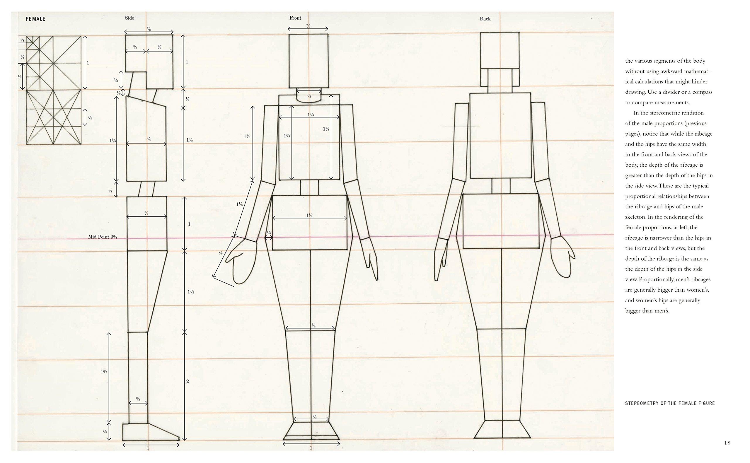 Beispielinhalt (Bild) Basic Human Anatomy