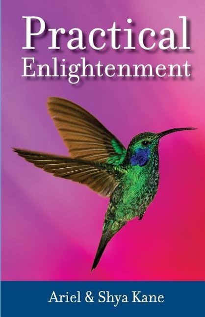 Vorderes Coverbild Practical Enlightenment