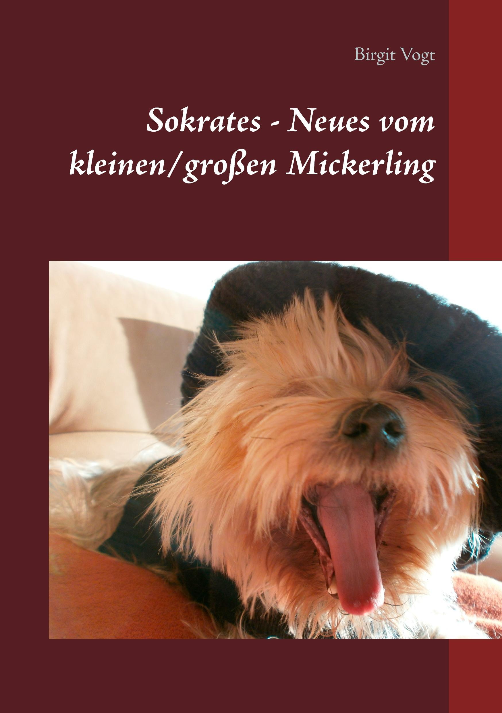 Vorderes Coverbild Sokrates - Neues vom kleinen/großen Mickerling