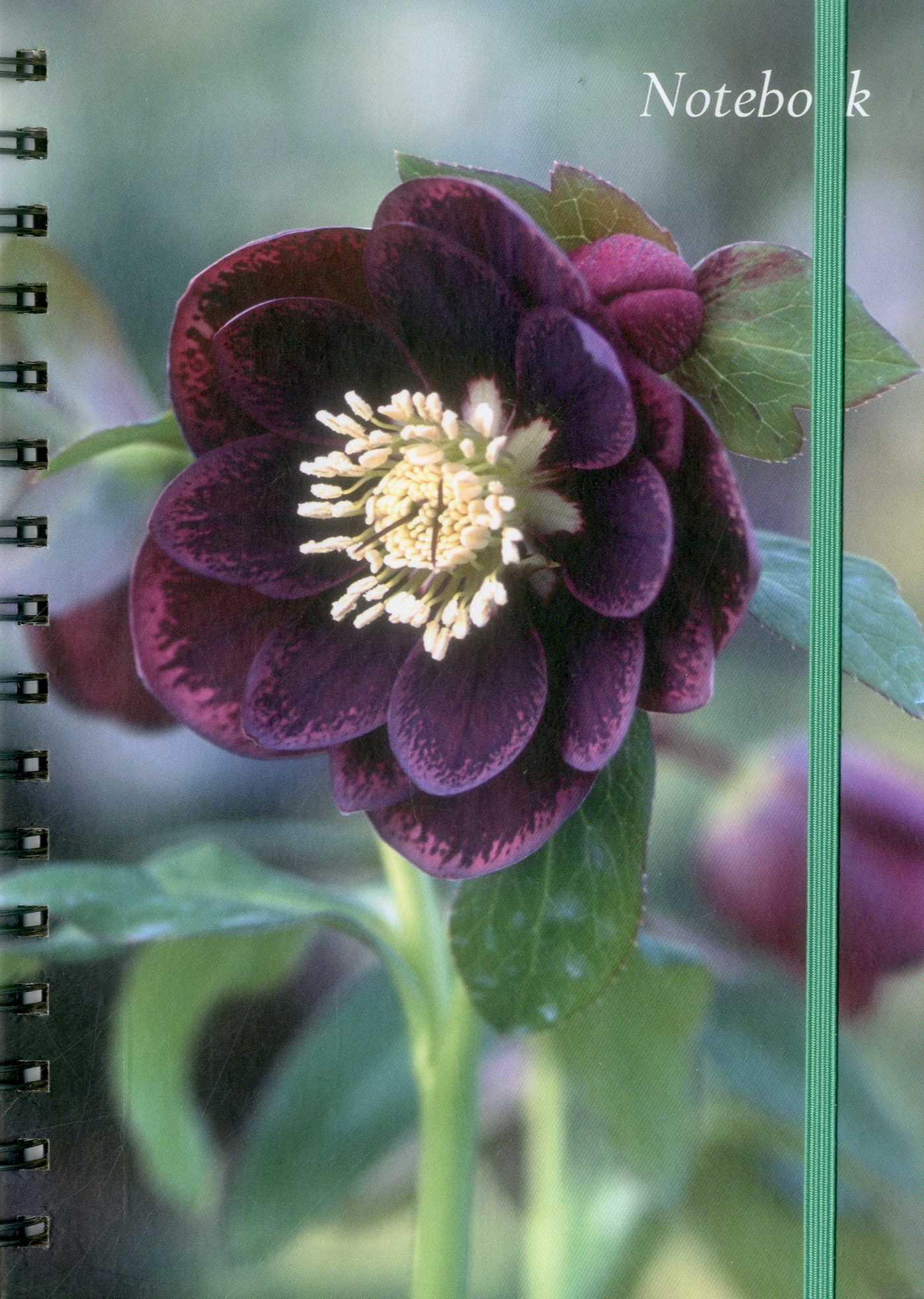 Vorderes Coverbild Notebook (Hellebore)