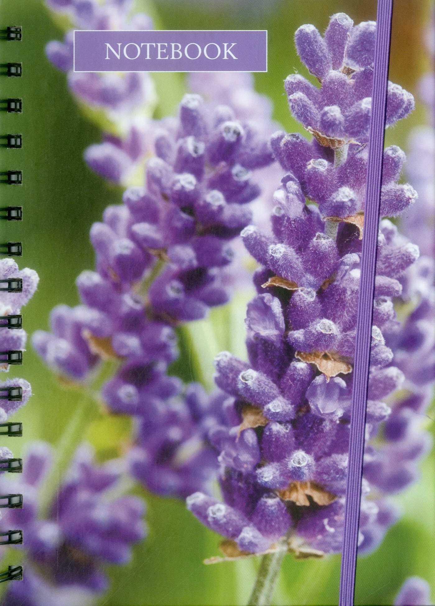 Vorderes Coverbild Notebook (Lavender)