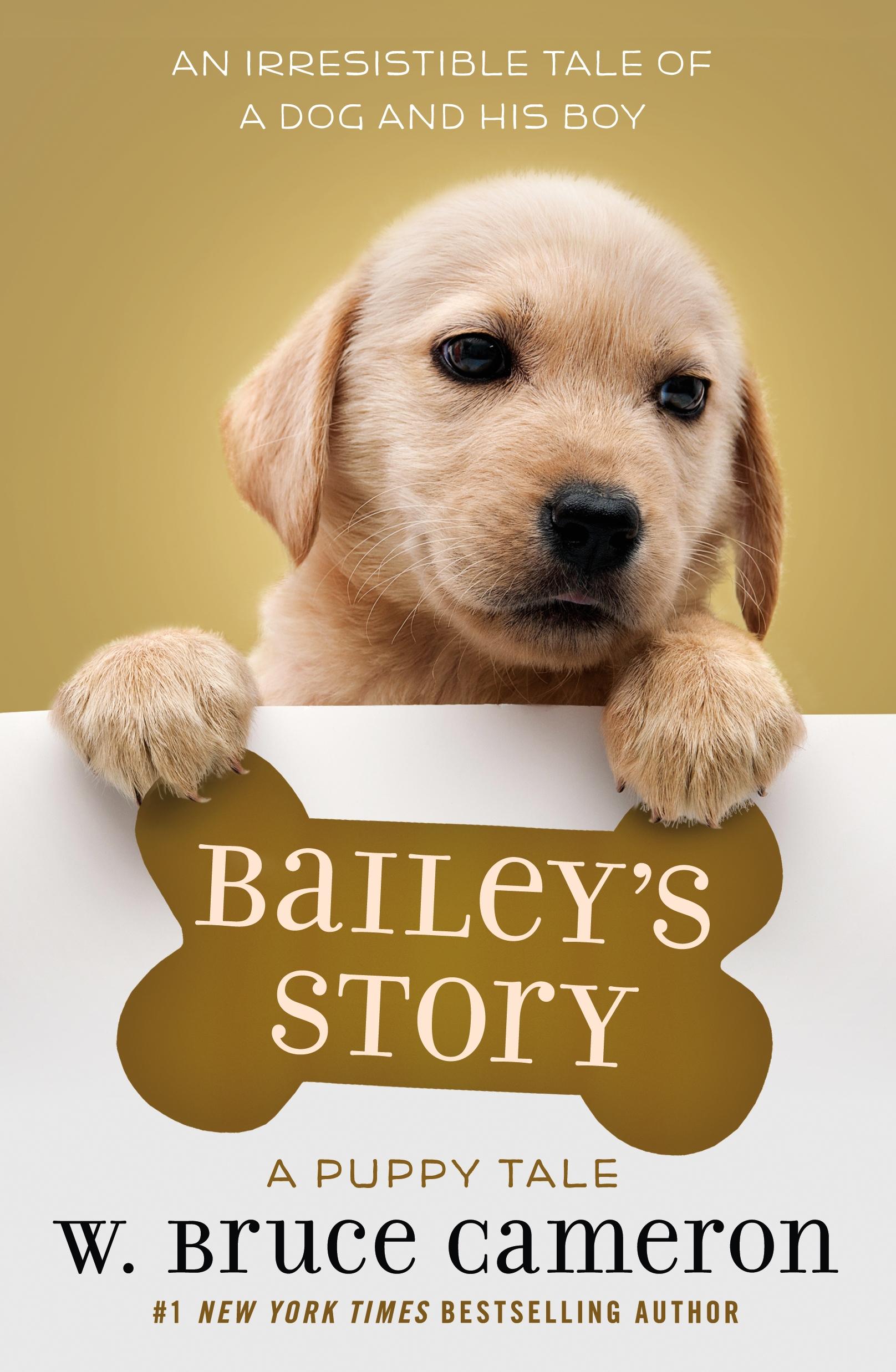 Vorderes Coverbild Bailey's Story