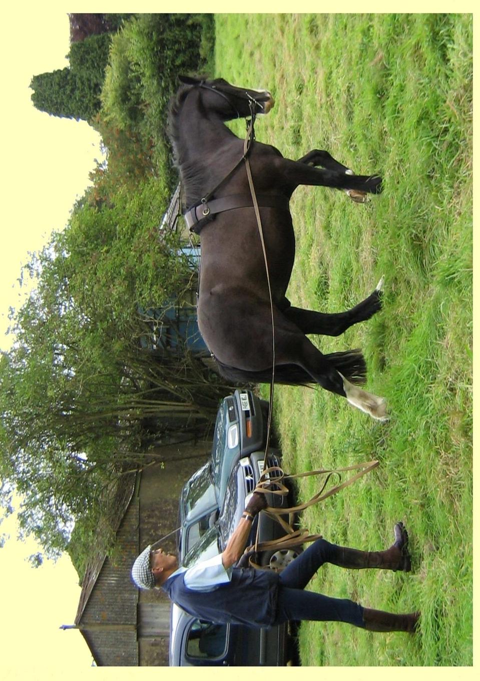 Rückseitencover An Everyday Rider's Guide to Practical Breaking