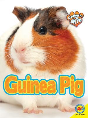 Vorderes Coverbild Guinea Pig