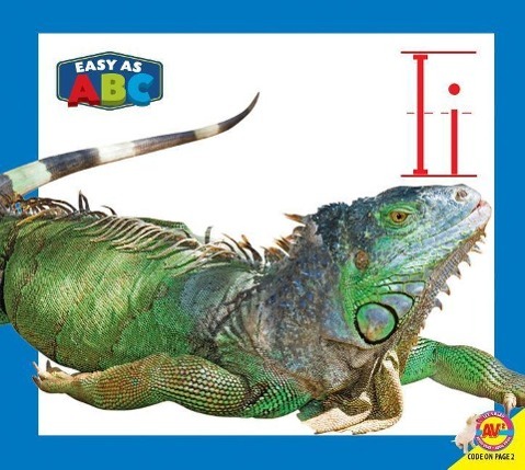 Vorderes Coverbild II