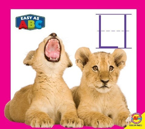 Vorderes Coverbild LL