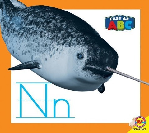 Vorderes Coverbild NN