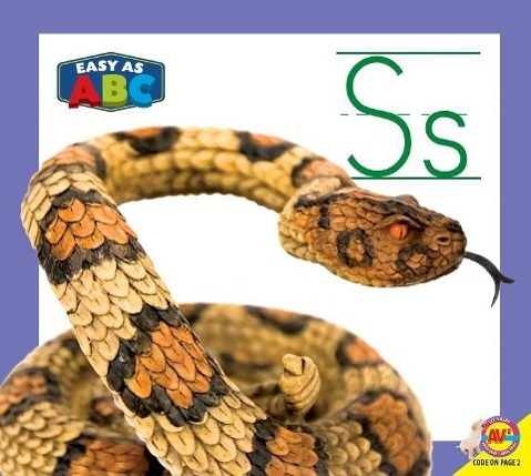 Vorderes Coverbild SS