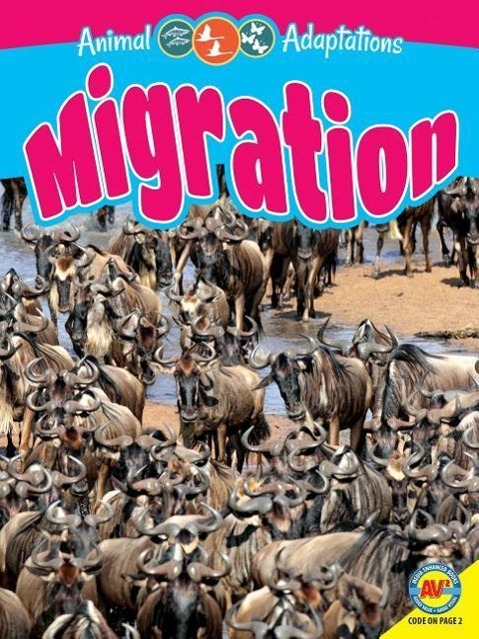 Vorderes Coverbild Migration