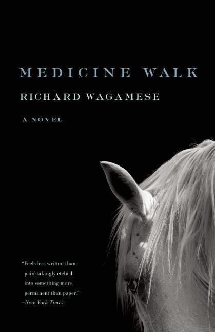 Vorderes Coverbild Medicine Walk