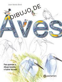 Vorderes Coverbild Dibujo de aves