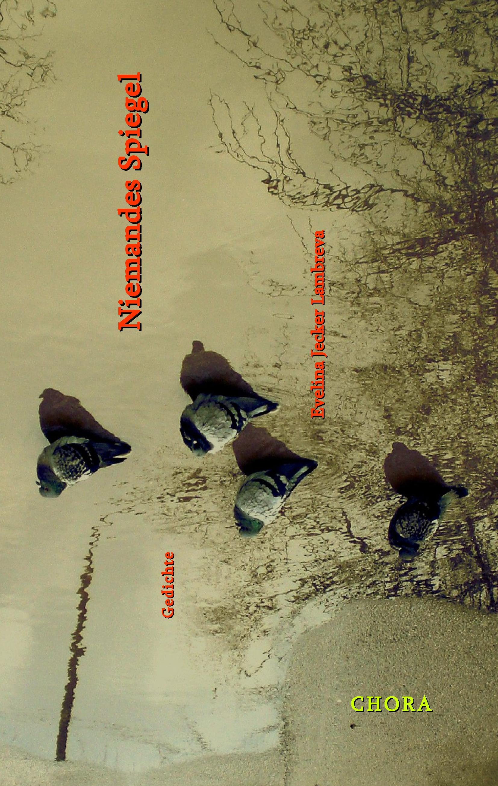 Vorderes Coverbild Niemandes Spiegel