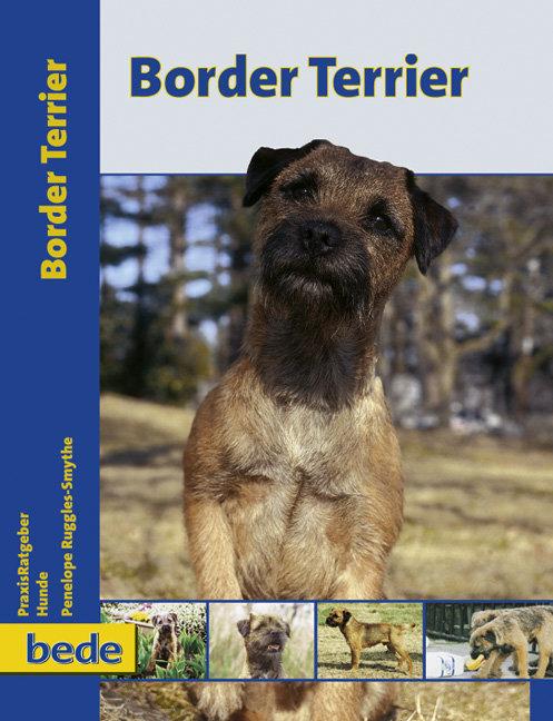 Vorderes Coverbild PraxisRatgeber Border Terrier
