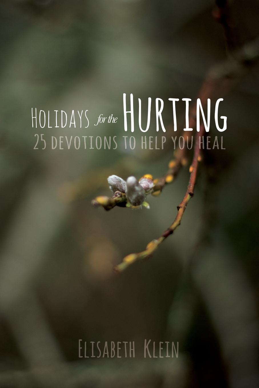 Vorderes Coverbild Holidays for the Hurting
