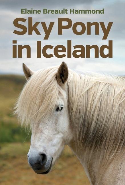 Vorderes Coverbild Sky Pony in Iceland