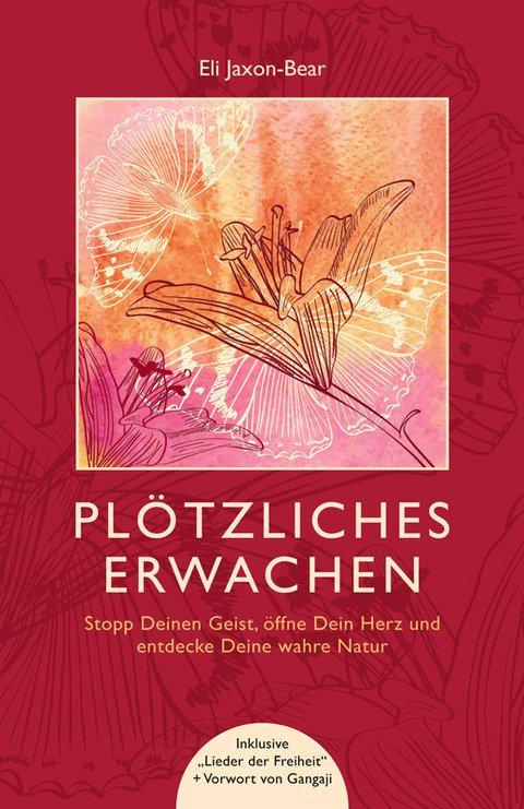 Vorderes Coverbild Plötzliches Erwachen