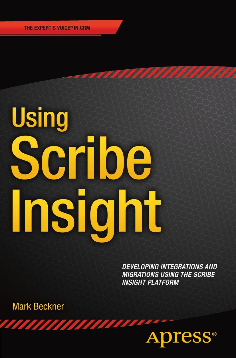 Vorderes Coverbild Using Scribe Insight