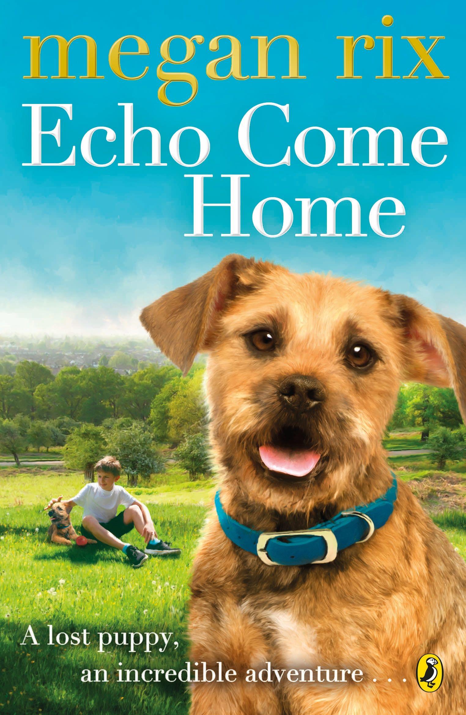 Vorderes Coverbild Echo Come Home