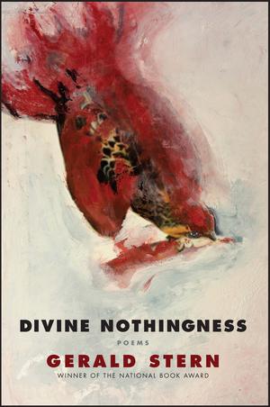 Vorderes Coverbild Divine Nothingness: Poems