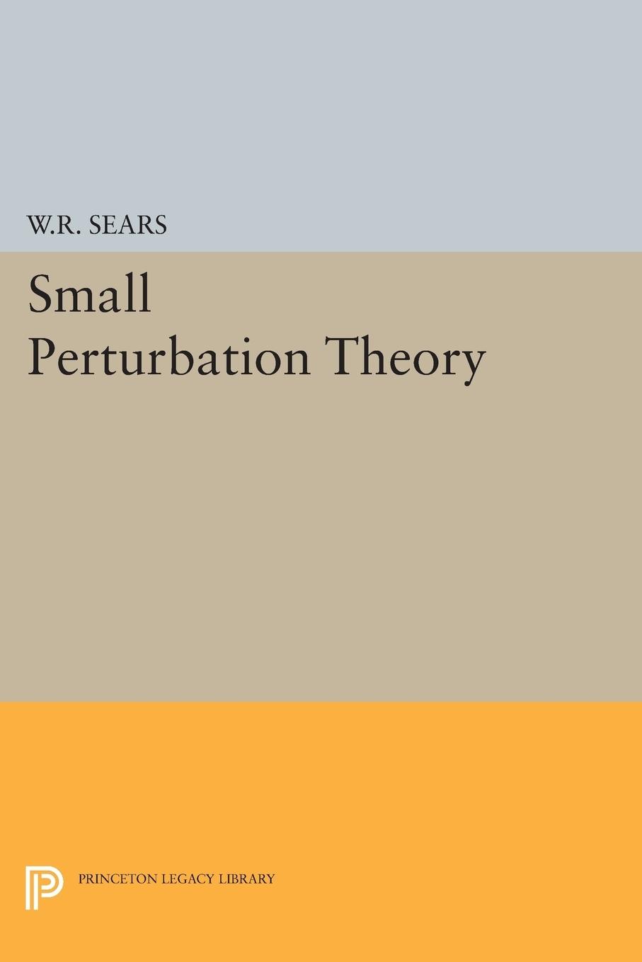 Vorderes Coverbild Small Perturbation Theory