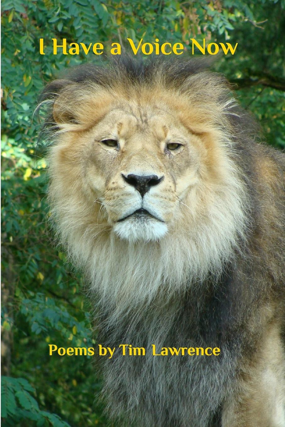 Vorderes Coverbild I Have a Voice Now