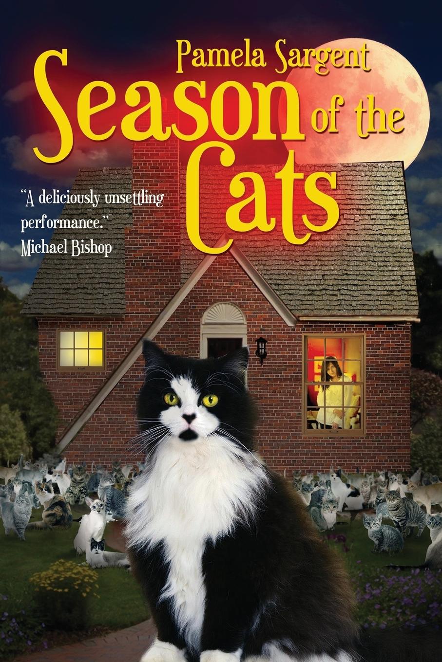 Vorderes Coverbild Season of the Cats
