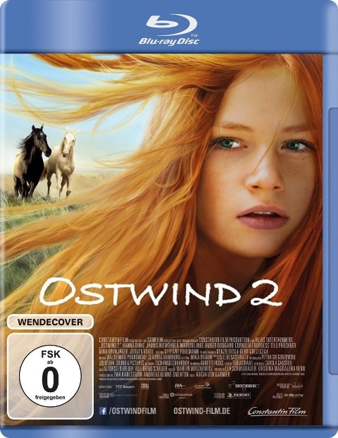 Vorderes Coverbild Ostwind 2