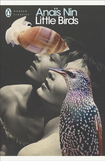 Vorderes Coverbild Little Birds
